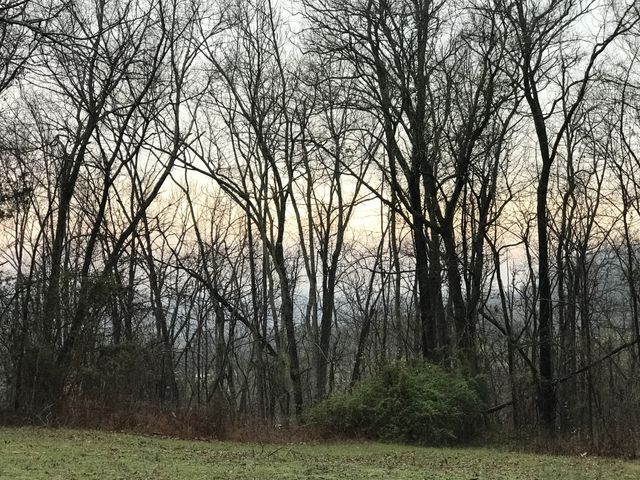 0 Toll Dugger Rd, Culleoka, TN 38451