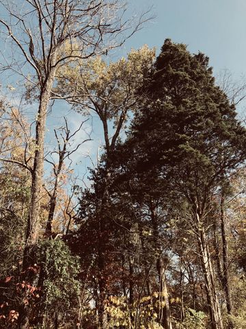 0 Toll Dugger Rd, Culleoka, TN 38451