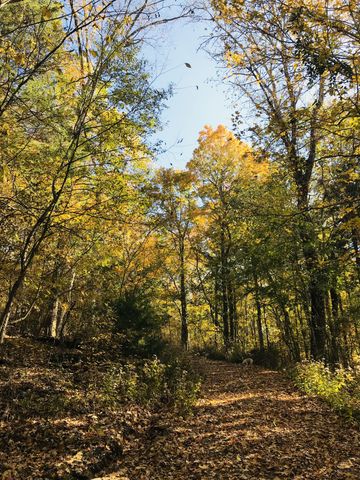 0 Toll Dugger Rd, Culleoka, TN 38451