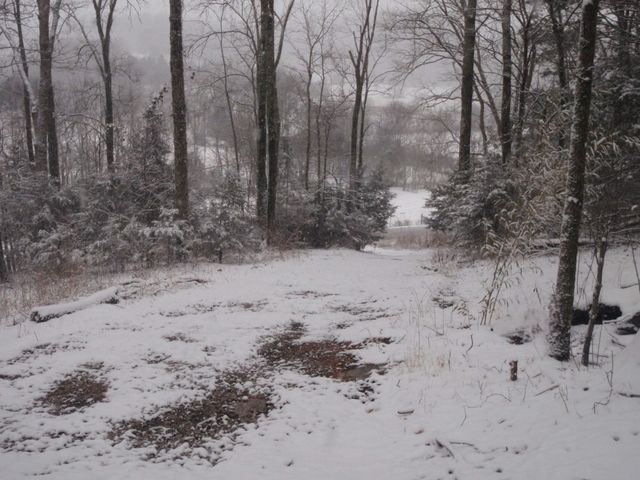 0 Toll Dugger Rd, Culleoka, TN 38451