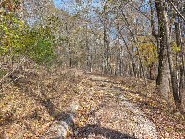 0 Toll Dugger Rd, Culleoka, TN 38451