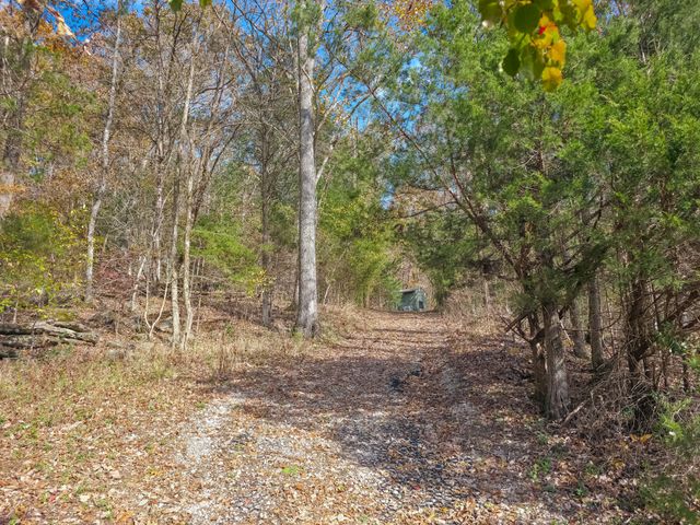 0 Toll Dugger Rd, Culleoka, TN 38451