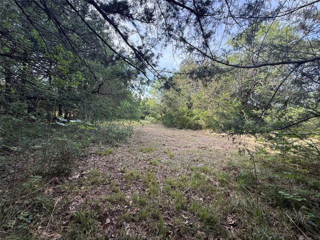 Lot 15R-2 Hout Bay Road, Streetman, TX 75859