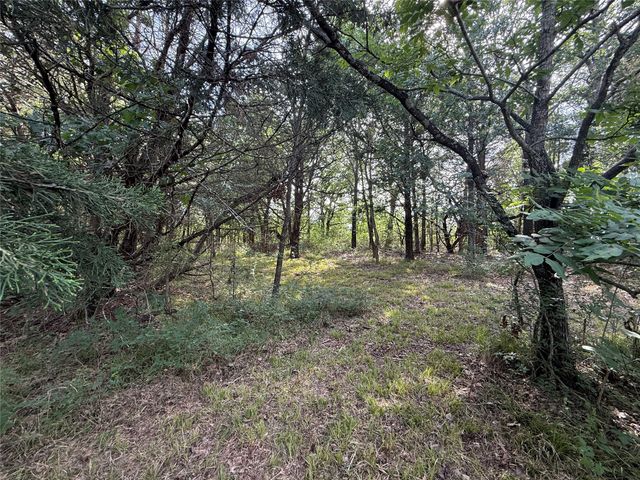 Lot 15R-2 Hout Bay Road, Streetman, TX 75859