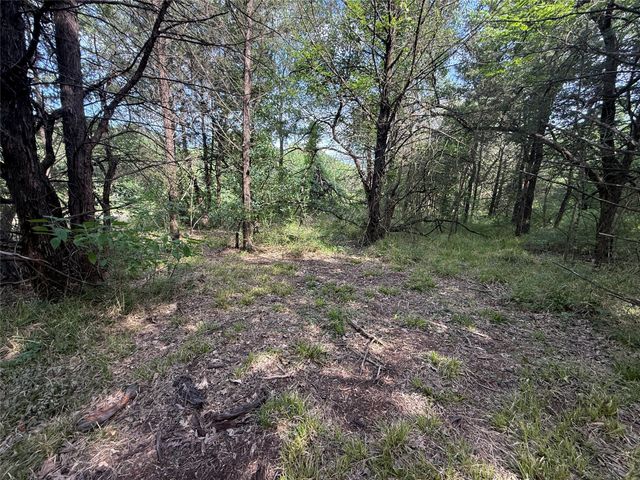 Lot 15R-2 Hout Bay Road, Streetman, TX 75859