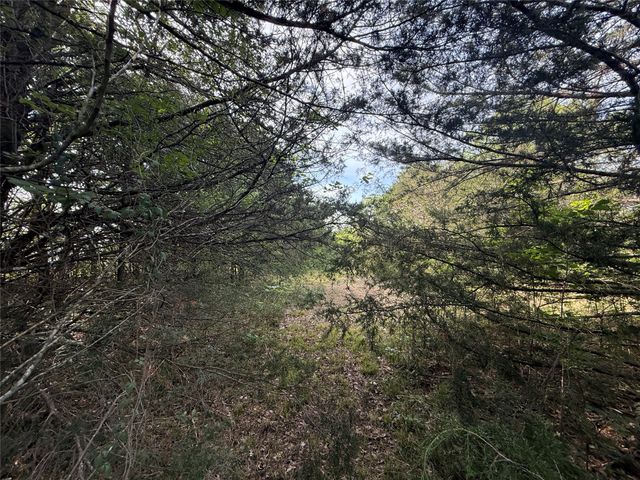 Lot 15R-2 Hout Bay Road, Streetman, TX 75859
