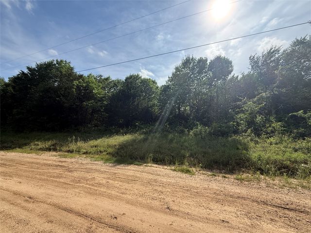 Lot 15R-2 Hout Bay Road, Streetman, TX 75859
