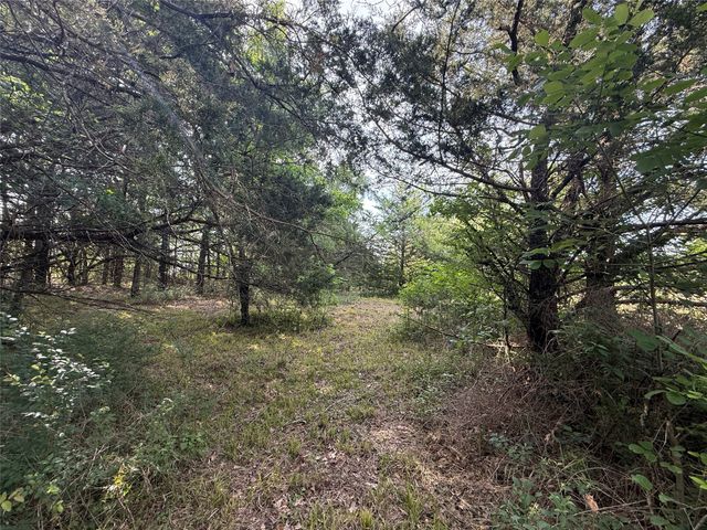 Lot 15R-2 Hout Bay Road, Streetman, TX 75859