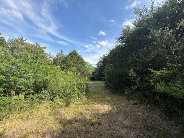 Lot 15R-2 Hout Bay Road, Streetman, TX 75859