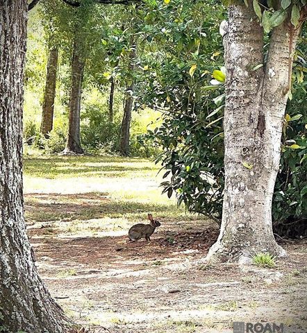 9754 Plank Rd, Clinton, LA 70722