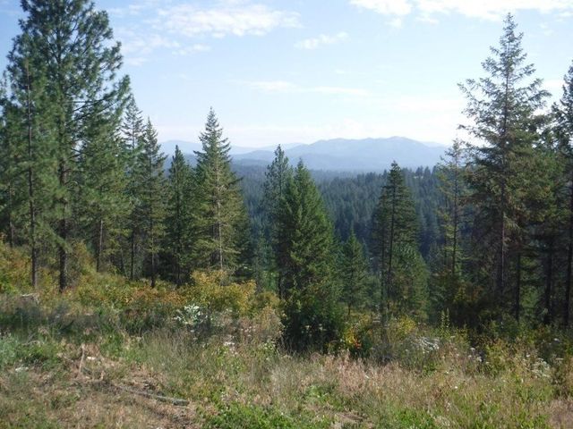 Lot 3 Moose Ridge Way, Loon Lake, WA 99148
