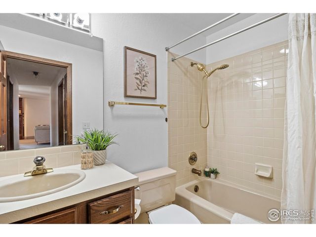 903 Conifer Ct 13, Windsor, CO 80550