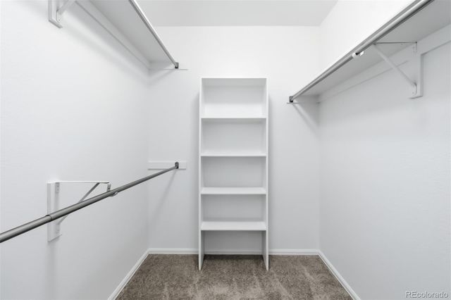 7356 Rattlesnake Drive, Lone Tree, CO 80124