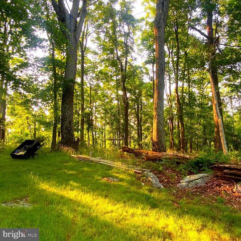 1074 WHITE PINE LN, Capon Bridge, WV 26711