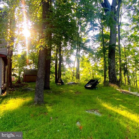 1074 WHITE PINE LN, Capon Bridge, WV 26711