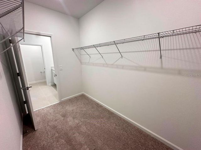 6099 WELLBEING WAY, Clermont, FL 34714