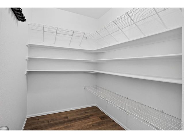 3657 Torch Lily St, Wellington, CO 80549