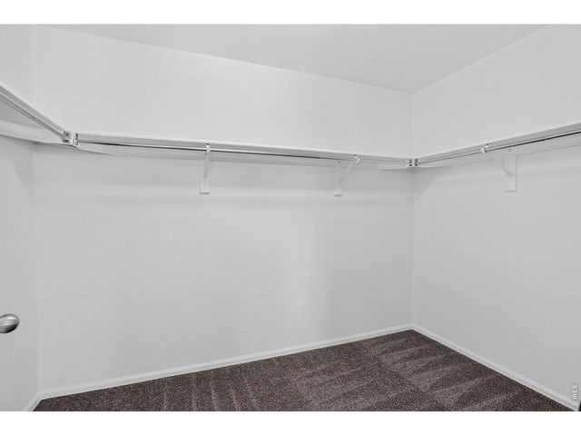 3657 Torch Lily St, Wellington, CO 80549