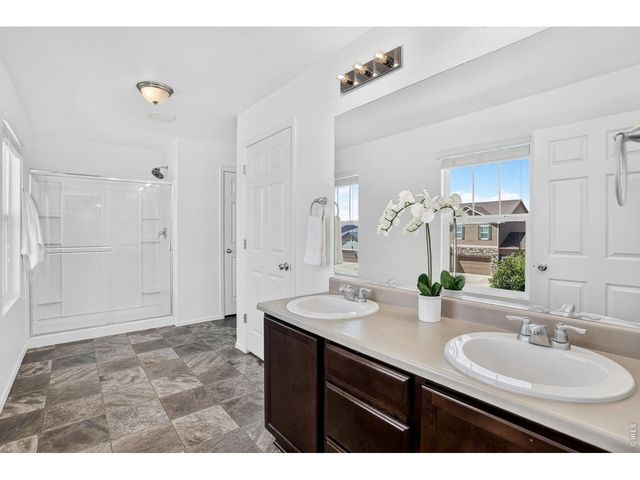 3657 Torch Lily St, Wellington, CO 80549