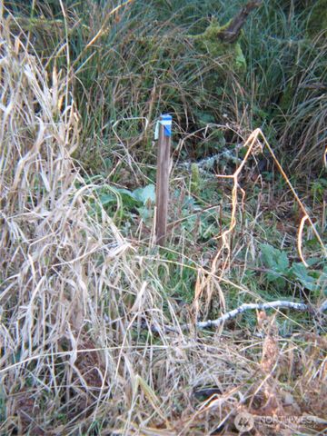 1704 320TH Place, Ocean Park, WA 98640