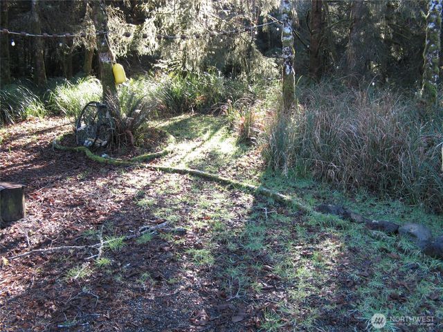 1704 320TH Place, Ocean Park, WA 98640