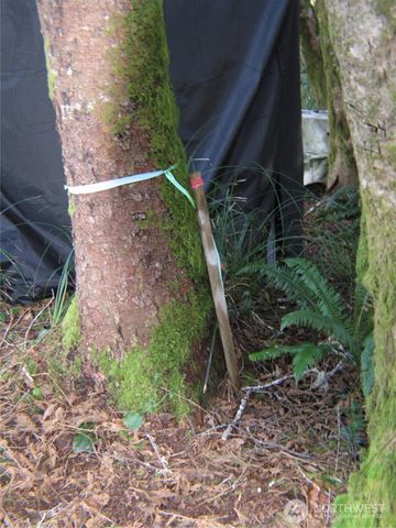 1704 320TH Place, Ocean Park, WA 98640