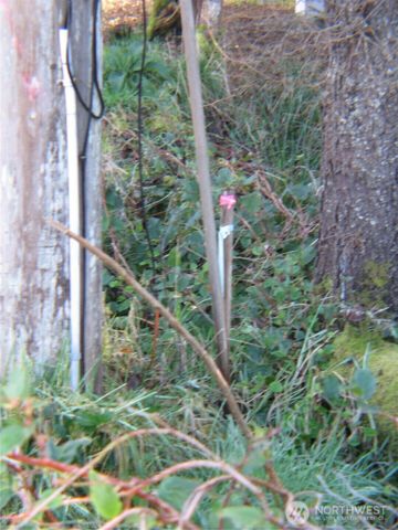 1704 320TH Place, Ocean Park, WA 98640