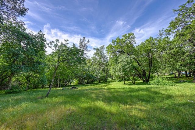 3120 Verde Robles Ct, Camino, CA 95709