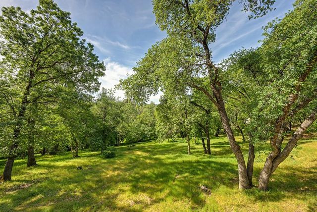 3120 Verde Robles Ct, Camino, CA 95709