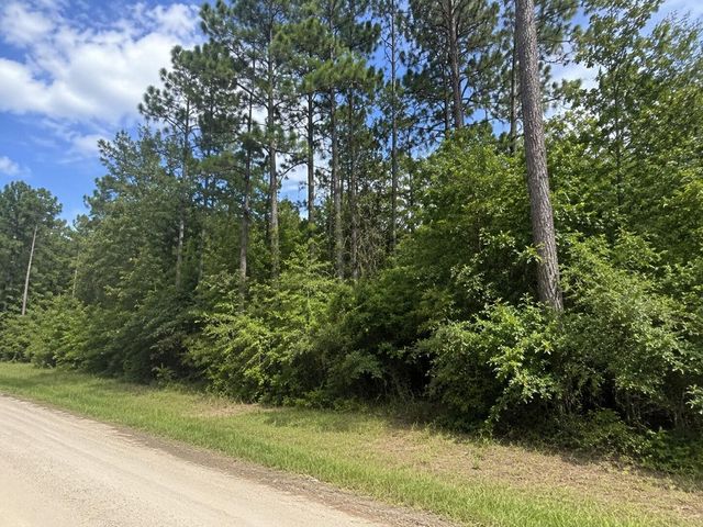 0 Twelfth Street, Onalaska, TX 77360