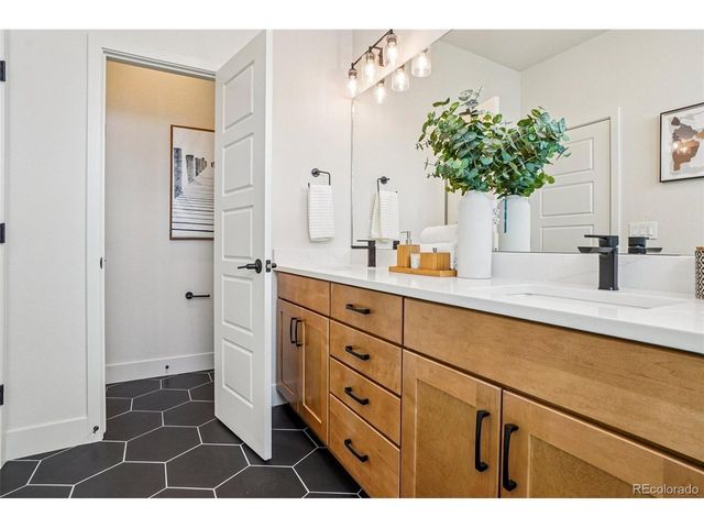 2867 S Pancratia St, Denver, CO 80236