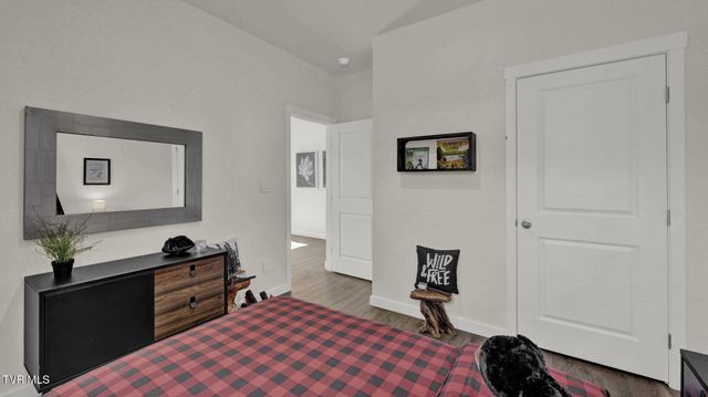 196 Tanasqui Drive, Johnson City, TN 37604