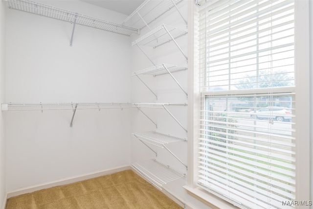 2533 Halcyon Downs Loop, Montgomery, AL 36117