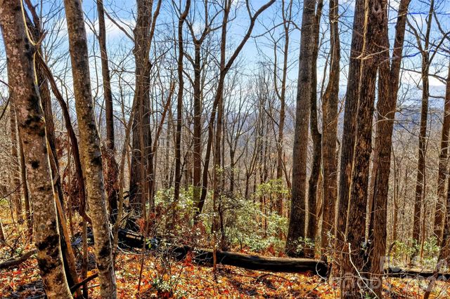 100 Wolf Pen Road, Old Fort, NC 28762