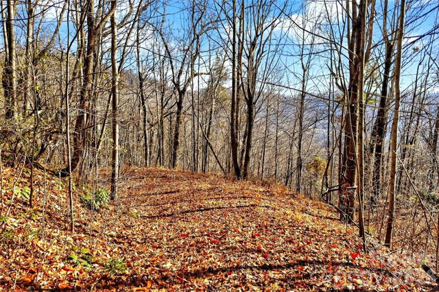 100 Wolf Pen Road, Old Fort, NC 28762