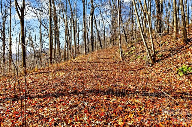 100 Wolf Pen Road, Old Fort, NC 28762