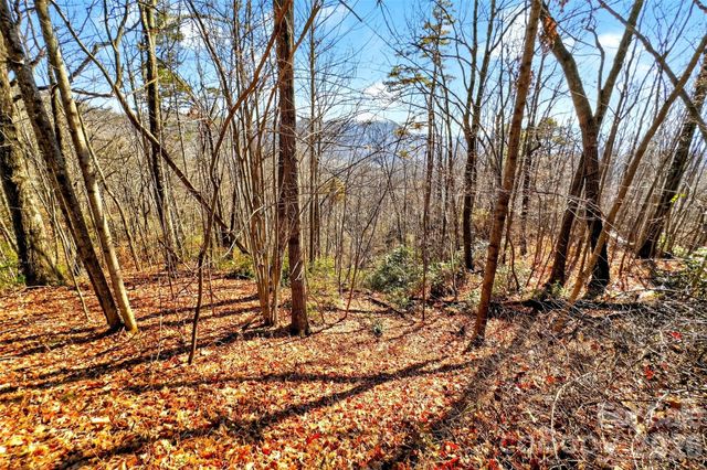 100 Wolf Pen Road, Old Fort, NC 28762