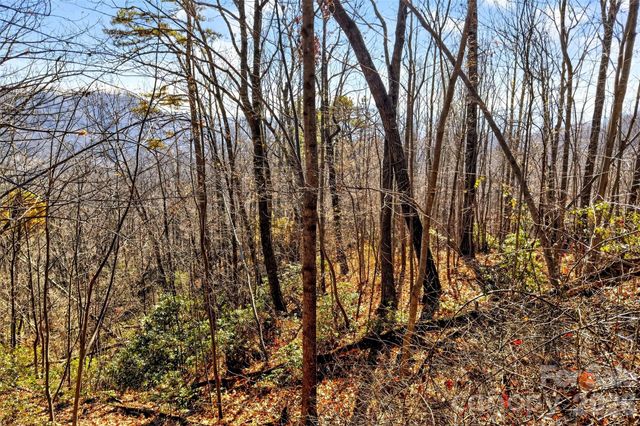 100 Wolf Pen Road, Old Fort, NC 28762