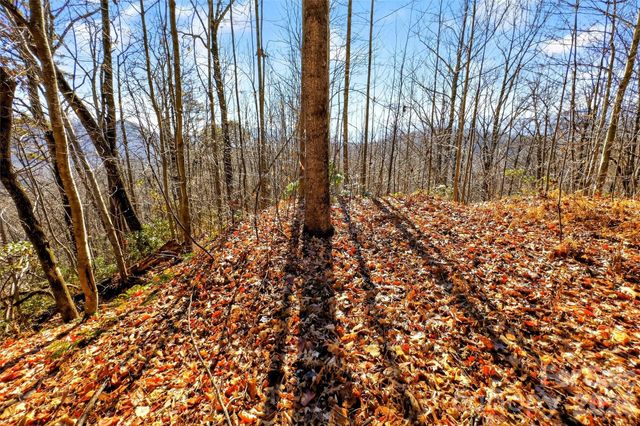 100 Wolf Pen Road, Old Fort, NC 28762