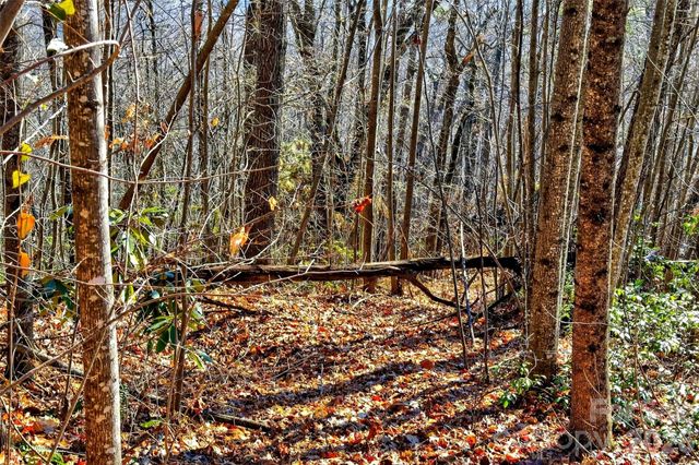 100 Wolf Pen Road, Old Fort, NC 28762