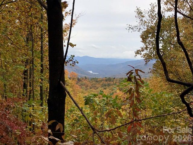 100 Wolf Pen Road, Old Fort, NC 28762