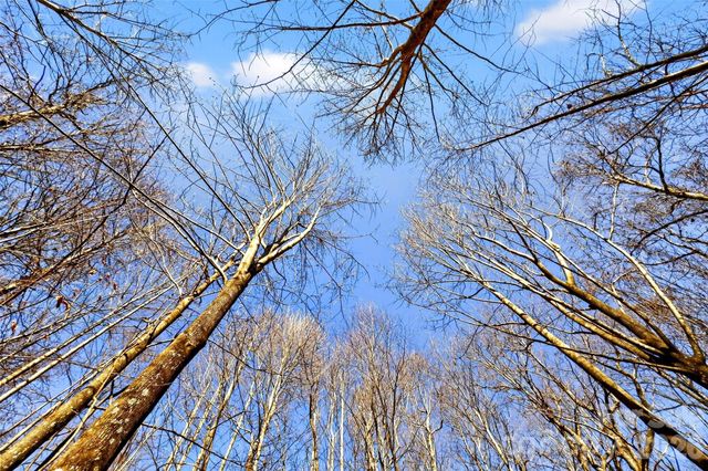 100 Wolf Pen Road, Old Fort, NC 28762