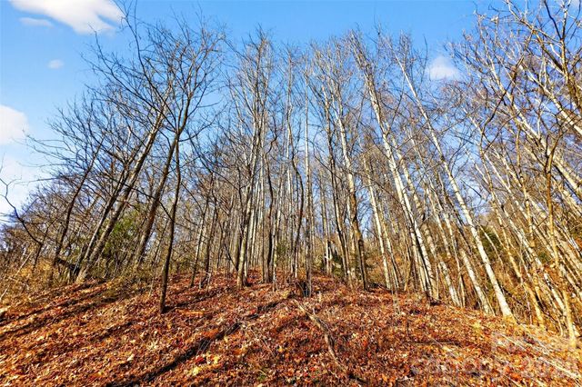 100 Wolf Pen Road, Old Fort, NC 28762