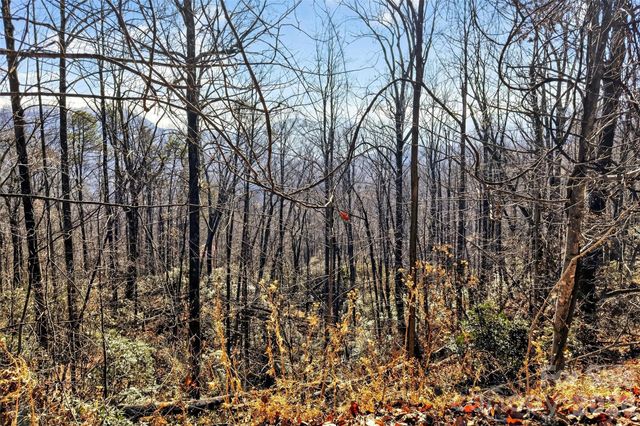 100 Wolf Pen Road, Old Fort, NC 28762