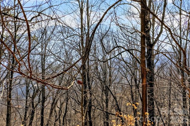 100 Wolf Pen Road, Old Fort, NC 28762