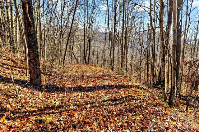 100 Wolf Pen Road, Old Fort, NC 28762