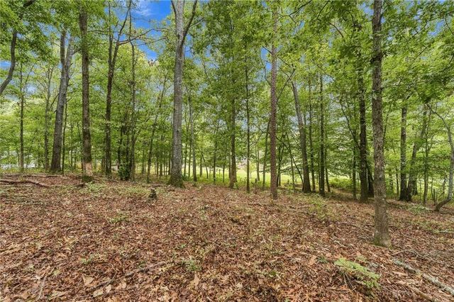 1639 Flowery Branch Road, Auburn, GA 30011