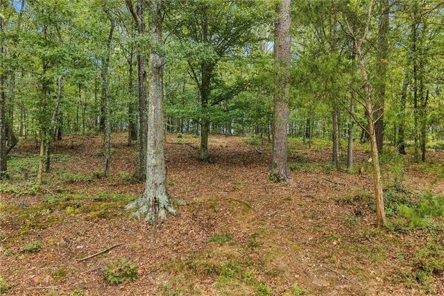 1639 Flowery Branch Road, Auburn, GA 30011