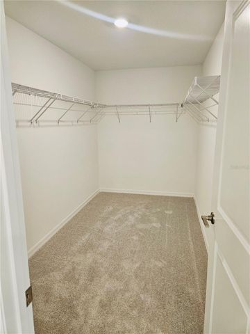 22496 NEBULA WAY, Land O Lakes, FL 34637