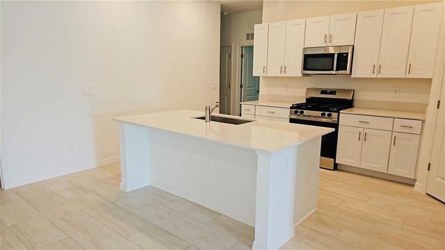 22496 NEBULA WAY, Land O Lakes, FL 34637